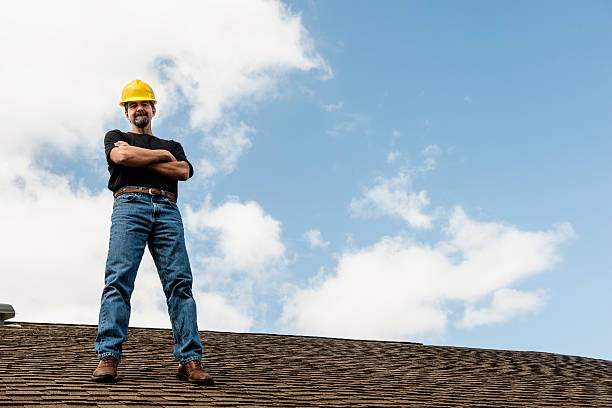 Best Storm Damage Roof Repair  in Shelby, OH