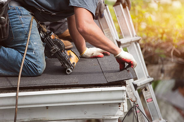 Roof Gutter Cleaning in Shelby, OH